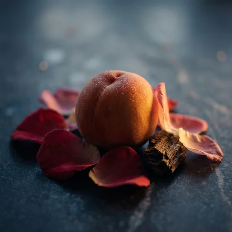Peach dan wild rose